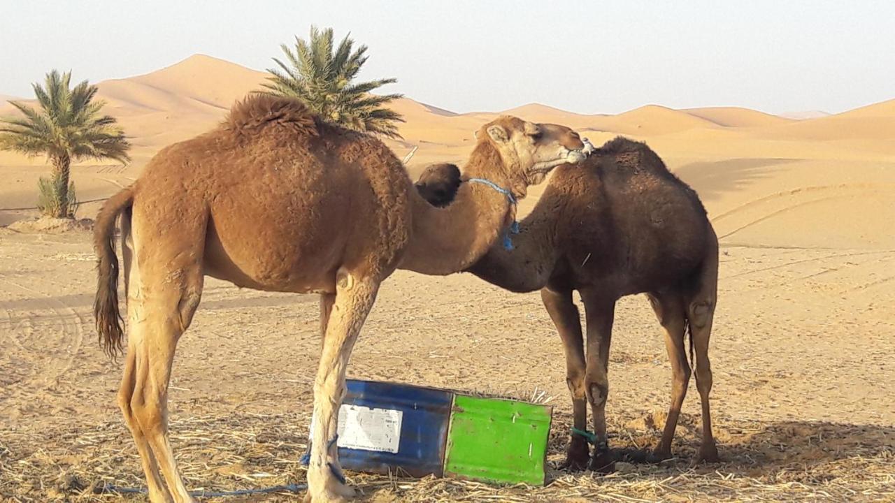 Hotel Fabulous Luxury Camp Merzouga Exterior foto